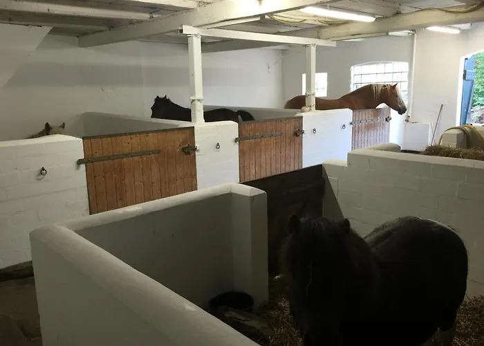 Lägenhet Utech Wenkendorf